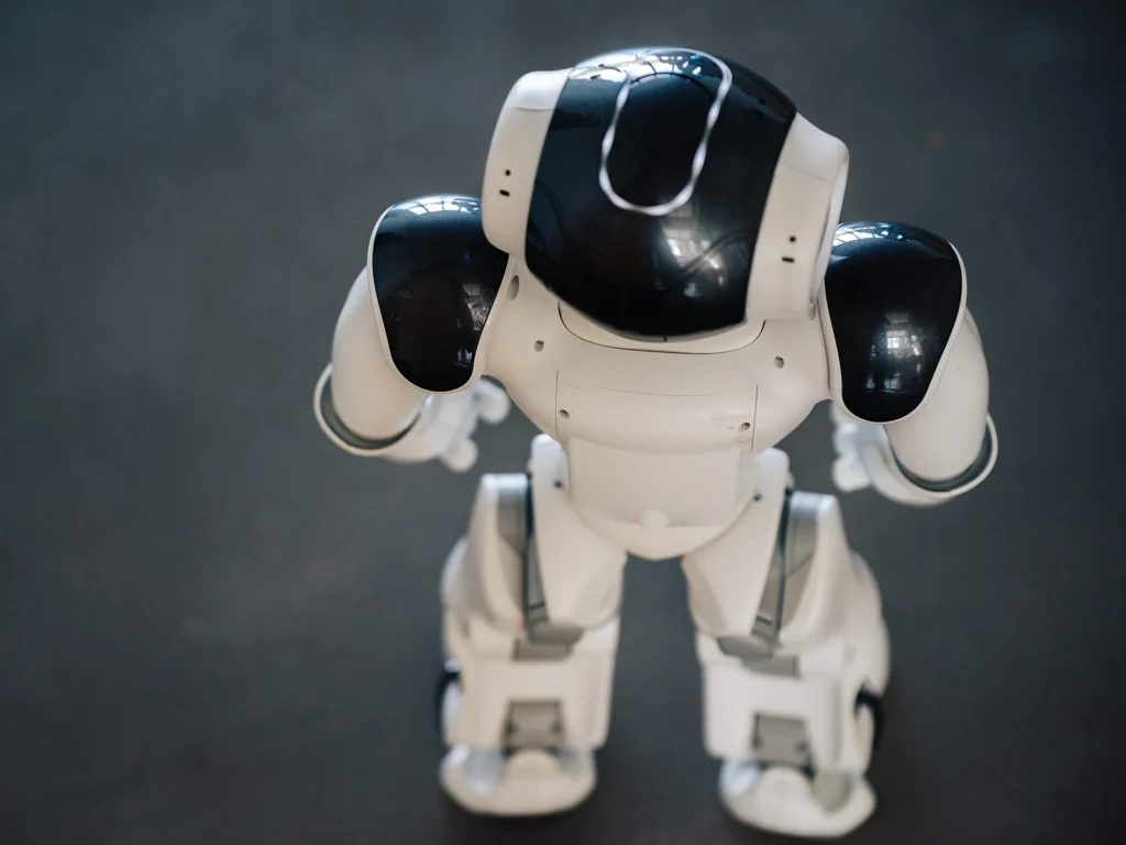 NAO Roboter - Roboter mit menschlichen Zügen - Arme, Beine, Torso, Kopf und Augen